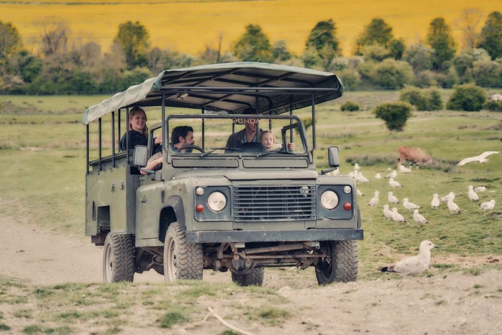 Port Lympne Reserve Visit and Expert Rangers Safari for Two