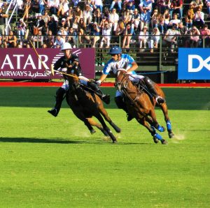 Full Hospitality Polo Day   For 4 People   &nbsp;   Minimum Price: £643