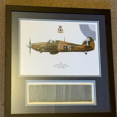 Genuine framed piece of Hurricane fabric