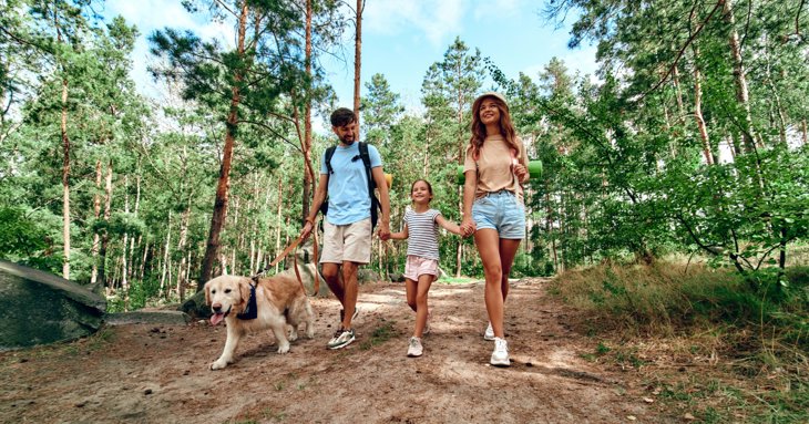 An Authentic Farm Stay In The Cotswolds For 8 People With Private Pamper Session