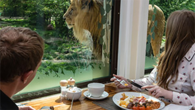 Luxury Lodge Stay with Dining and Hand Feeding Experience for Two at The Big Cat Sanctuary