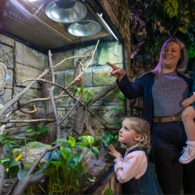 SEA LIFE Loch Lomond Visit for Two Adults and Two Children