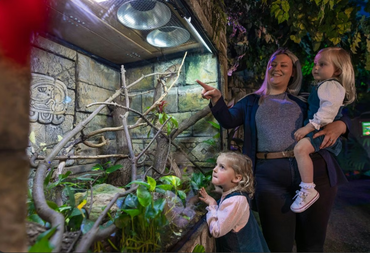 SEA LIFE Loch Lomond Visit for Two Adults and Two Children