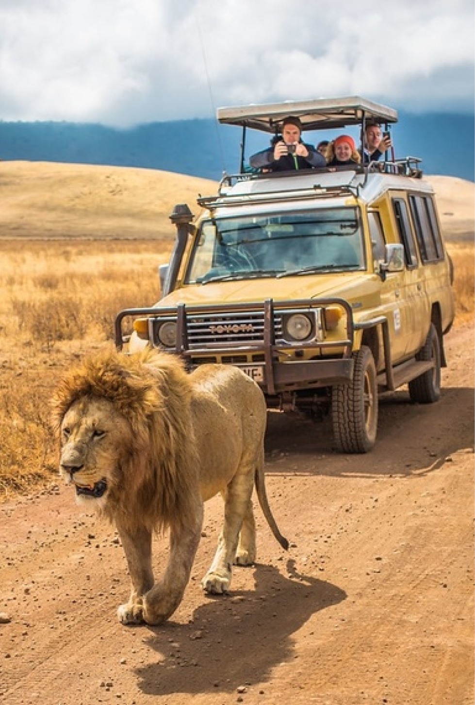 South African Safari for 2 People