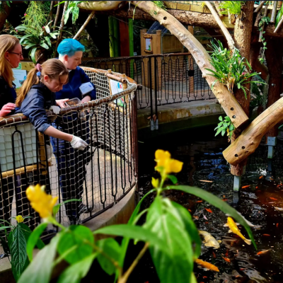 Plantasia Tropical Zoo Visit for One Adult and One Child