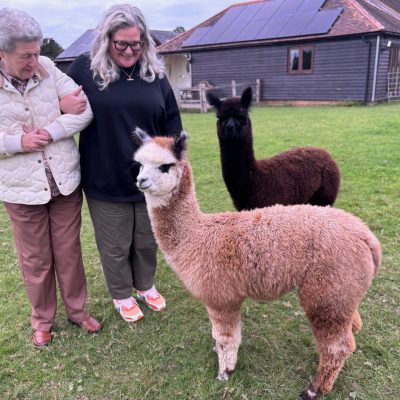 Alpaca Meet and Greet with Frankly Farm Tours
