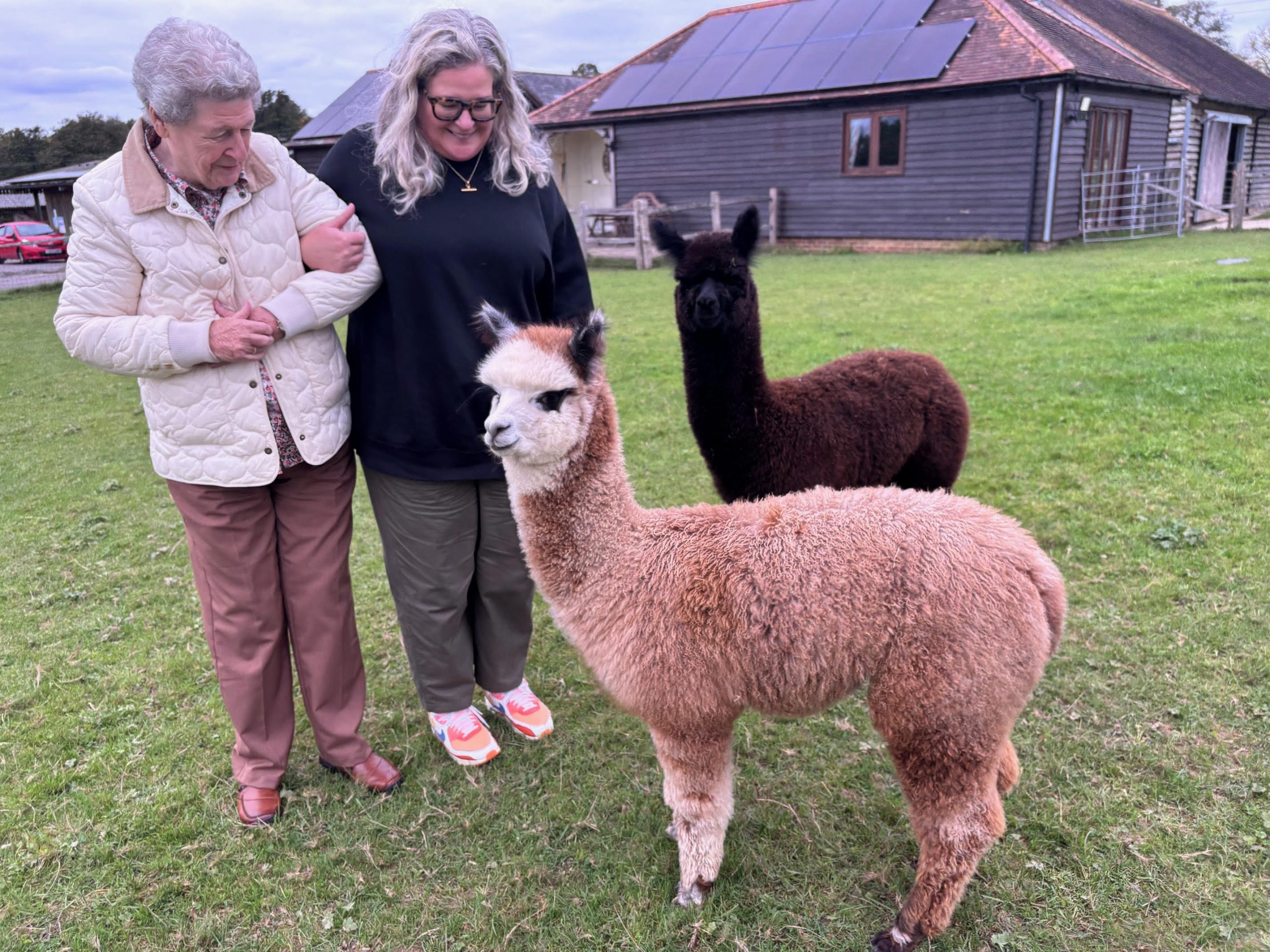 Alpaca Meet and Greet with Frankly Farm Tours