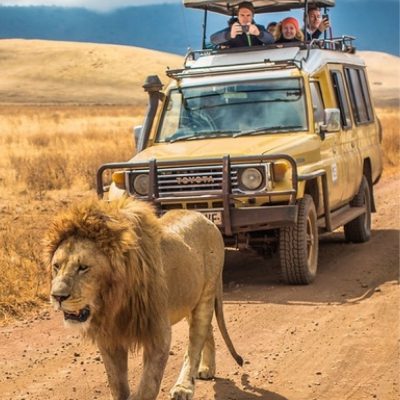 Once in a Lifetime South African Safari for 2 People