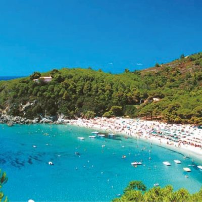 Exciting Italian Tuscan Tapas & Wines